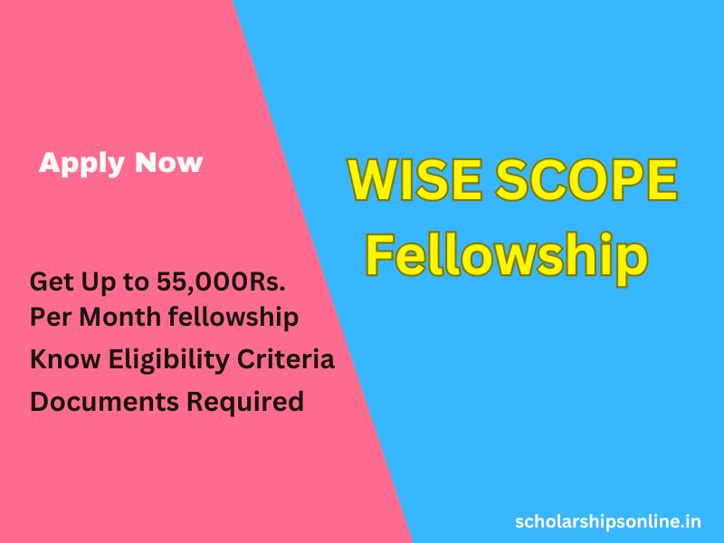 WISE SCOPE Fellowship 2025